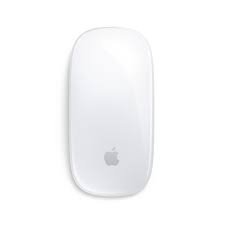 Magic Mouse (white)
